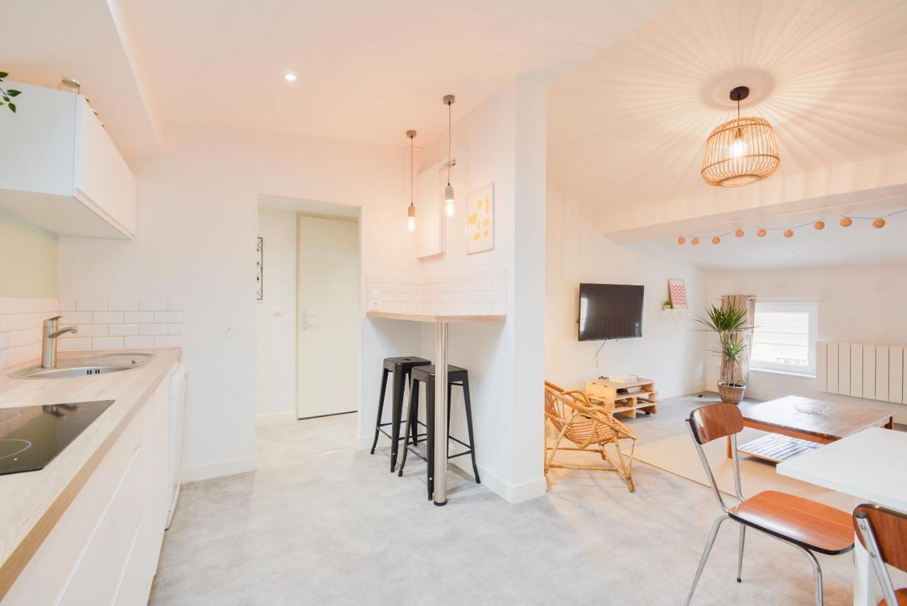 Le Toit De Poincare Appartement Nancy Buitenkant foto